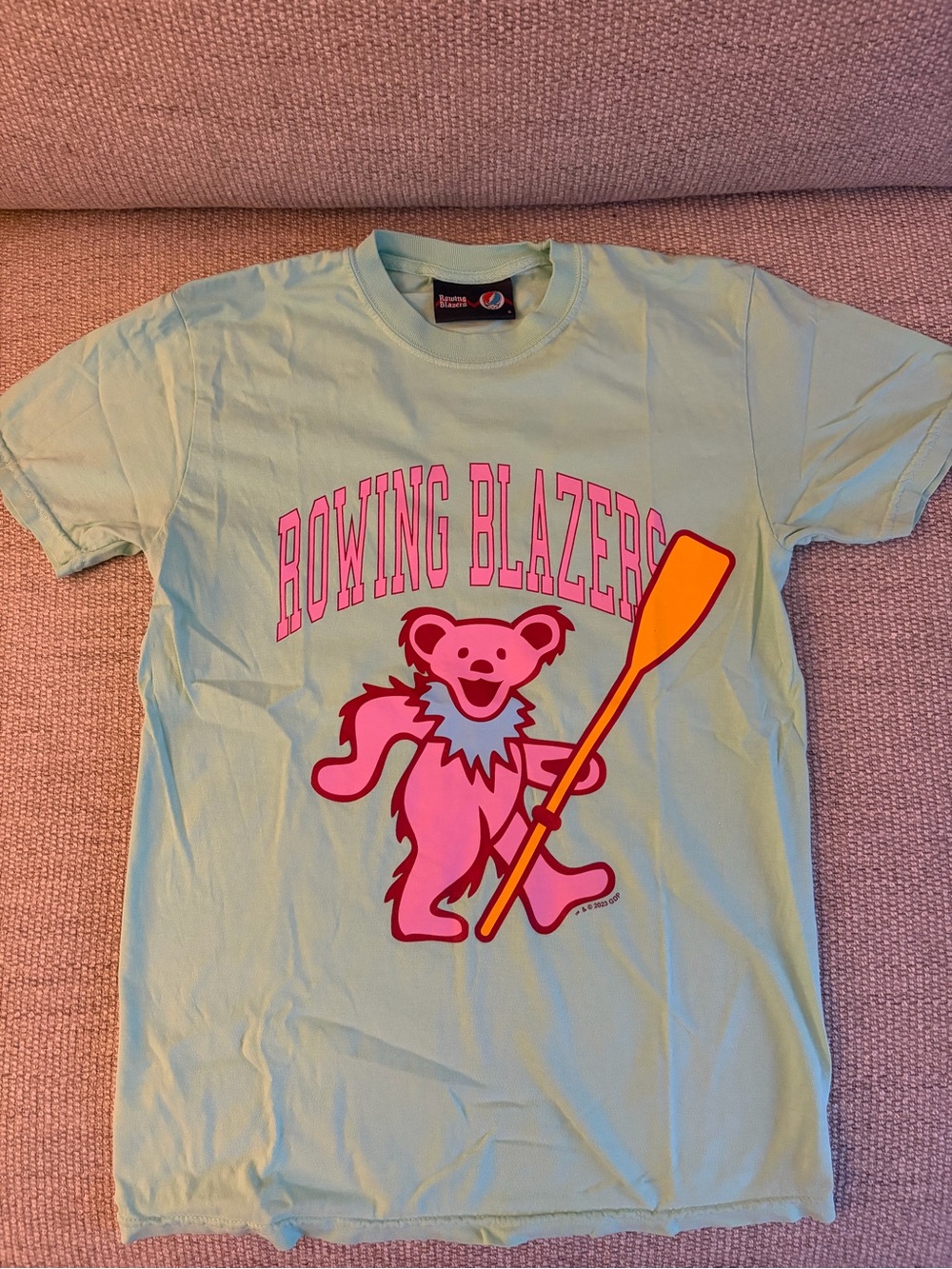Rowing Blazers / Grateful Dead collab mint green tee shirt.